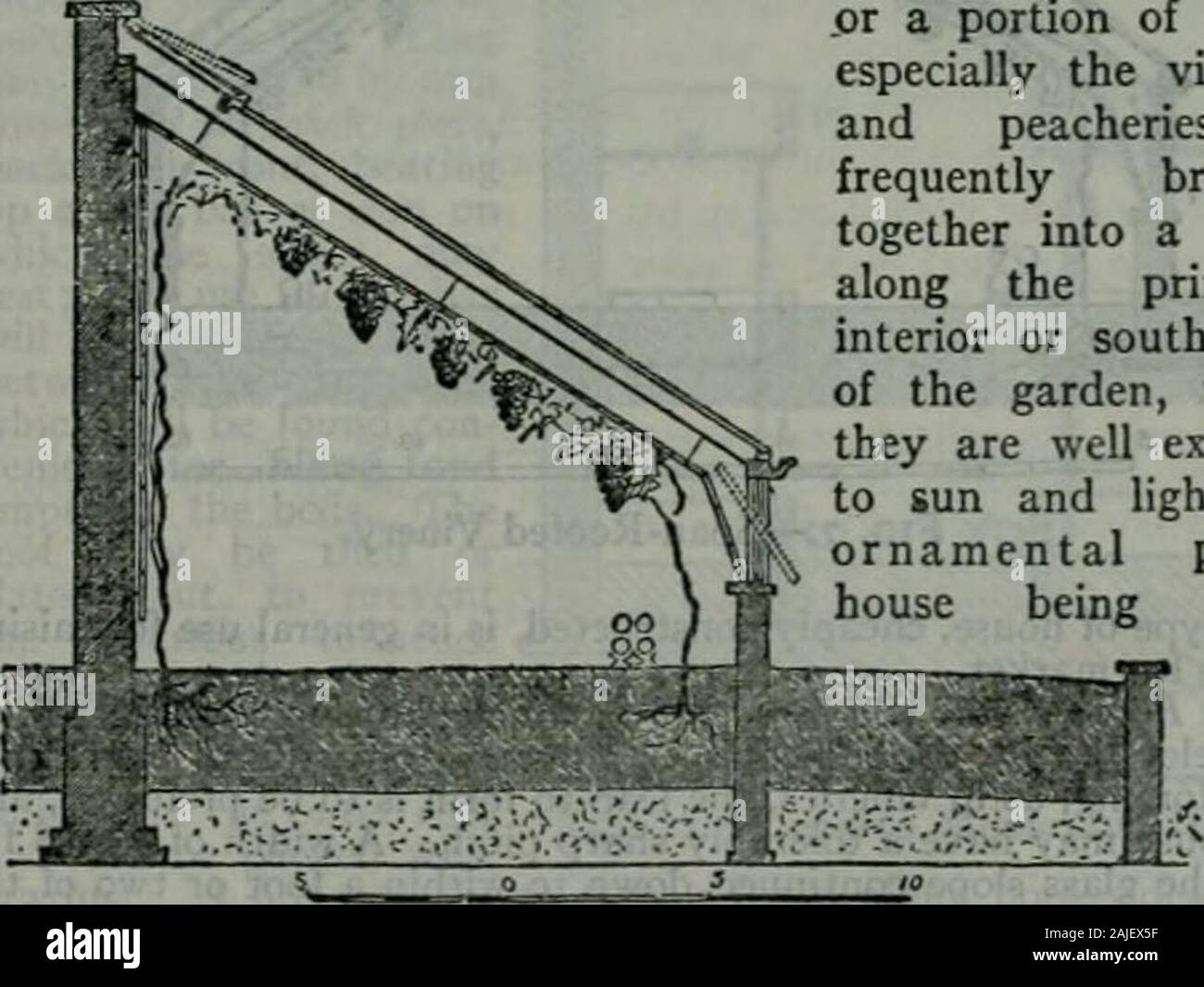 Die Encyclopedia Britannica; ein Wörterbuch der Künste, Wissenschaften, Literatur und allgemeinen Informationen. ne, wo möglich, und der unterstützt von Eisen. Diese sollten becovered mit einer Schicht von 2. oder 3. Von einigen groben kiesigen Material, suchas zerstieß, Spar, oder die Shell Sand am Meer - Küste, auf dem Töpfe sind zu stehen; seine Verwendung ist Feuchtigkeit zu absorbieren und graduallygive es heraus für den Nutzen der Pflanzen. Die Pathways bepaved sollten mit Fliesen, Ziegel oder Stein oder Beton und Zement, unddem Oberfläche sollte sanft gerundet werden, so dass das Wasser in den Si forevaporation ablassen kann Stockfoto