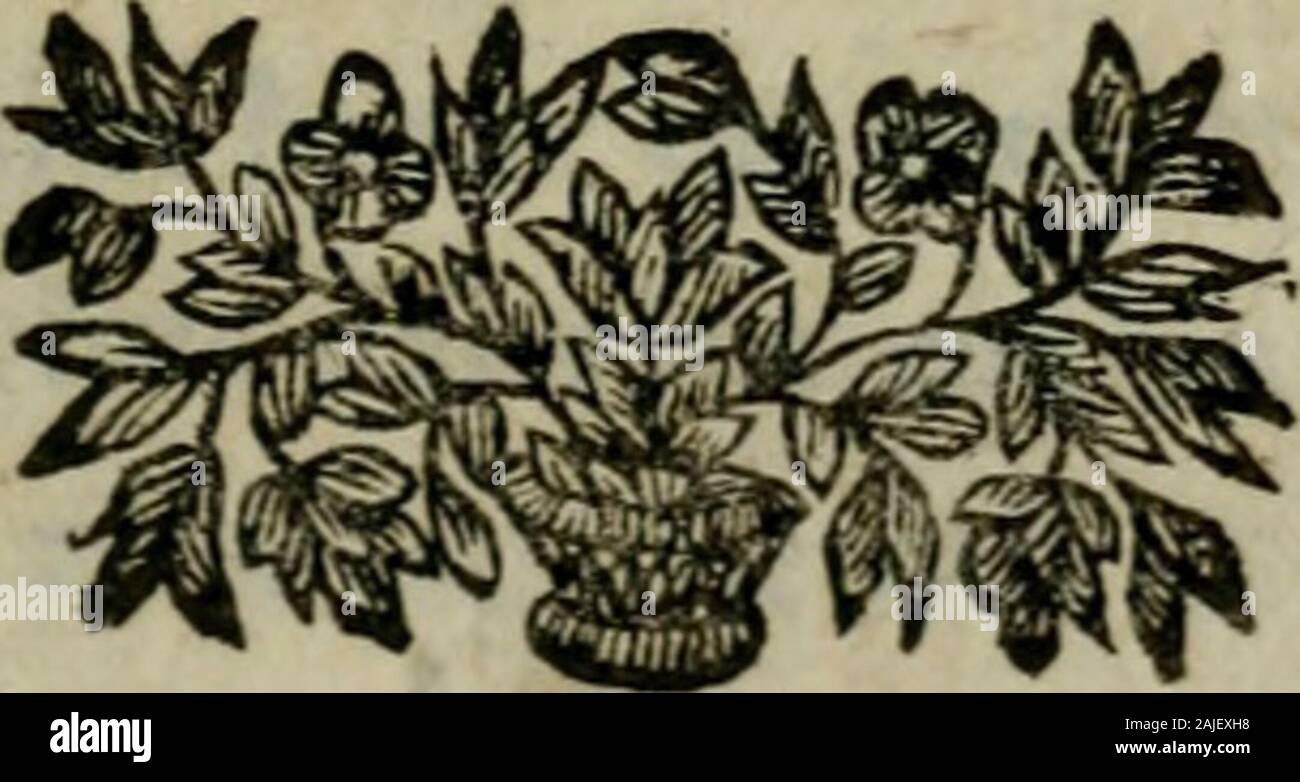 OEuvres diverses de M L de Chaulieu. Je M. L. de Châuliett. 41A LA MESME, einen Lus n * eft Le tems que Tamour mich faifeîtTe compofcr un Bouquet pour ta féce; Car maintenant, eft Forti de ma têteCe bon fripon, qui fi fort Sy plaifoit: Oder donc il faut Sy prendre dautre Forte; ein Fon défaut Tamitié fupléra; fuave Lodeur fera * & * Forte.Mais le Souquet à jamais durera.. ^ ich $ OEuvres cHverfes A L A M E S M E O Ous Le doux nom damitié je t* aî faitUn beau Bouquet, le Jour de Ta fétc jA mich louer jà Tout Bon Coeur sapréte, Et dit, vraiment cil eft Amant parfait yQ^ â refte Ami de parolle, & déf Gießen Stockfoto