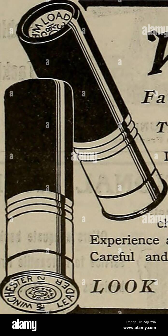 Züchter und Sportler. CHOSENTHE BEWEIS. WINCHESTER Werkseitig geladen rauchlosen Pulver ShellsTHE hart, weit reichende Lasten Duck Shooting ist ein großer Test des Schießens Qualitäten von ashotgun Shell. Viele der Aufnahmen sind auf der langen Strecke, und asall schützen wissen, Enten fliegen in der Regel mächtig schnell. Themost erfolgreiche Wildvoegel schützen und unterstützen Win-chester Werkseitig geladen Schalen, Leader und Repeater. Erfahrung und Versuch haben sie überzeugt, dass sie die Tötung lasten. Sorgfältige und korrekte Laden machen Sie so. Probieren Sie es selbst heraus. Suchen Sie nach dem roten W AUF DER BOX Stockfoto