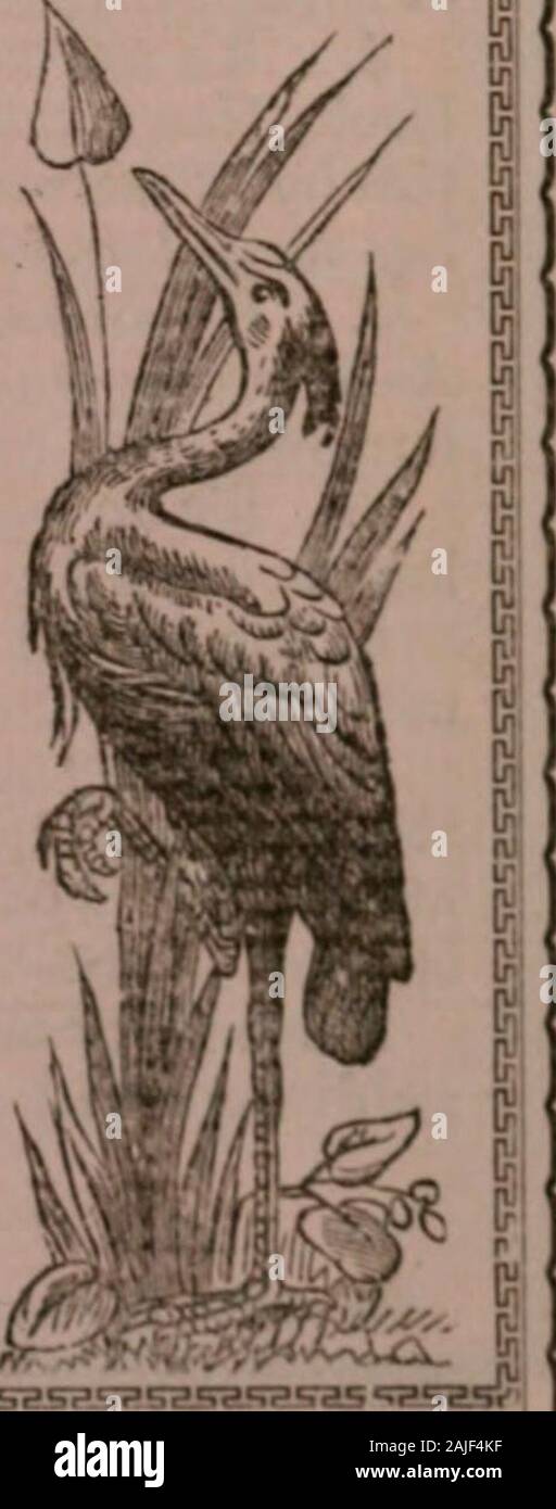 Die San Francisco, Oakland und Alameda Business Directory, 1880: enthält eine alphabetische Liste der Namen, die Lage und das Geschäft von jeder Händler, Großhandel und Einzelhandel, Hersteller und professionelle man im Geschäft engagiert darin: Eine klassifizierte Business Verzeichnis, in denen sie unter den entsprechenden Rubriken erscheinen: Auch eine allgemeine Register der Vereinigten Staaten, Staat und Stadt Offiziere, Banken, Versicherungen und Bergbauunternehmen, Hotels, öffentliche Einrichtungen, Zeitungen, etc.: Zusammen mit neuen und zuverlässigen Straßenverzeichnisse. Ich habe 2 & Castro Sts., Oakland 126 Kearny St., San Francisco. 7%*.L Stockfoto