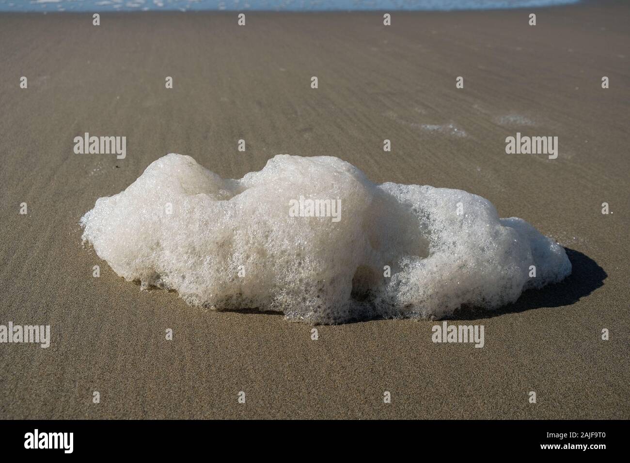 Verschmutzte chemische Sea Foam auf wilde Küste Ökosystem, Verschmutzung Verschmutzung Stockfoto