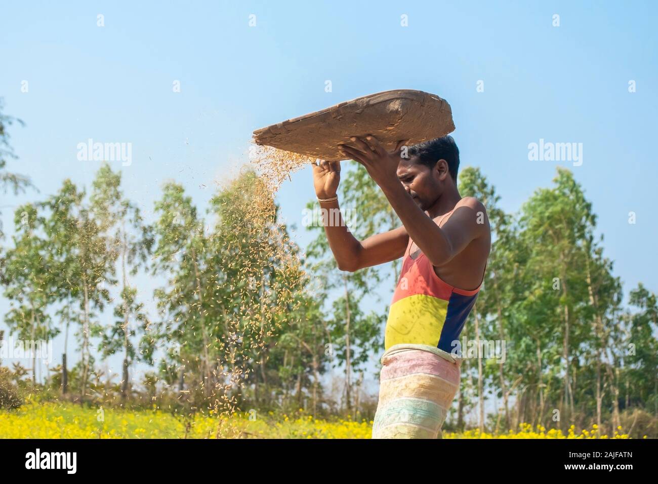 Sijhora/Indien/November 28, 2019 - Bauer im Tun, landwirtschaftliche Arbeiten. Stockfoto