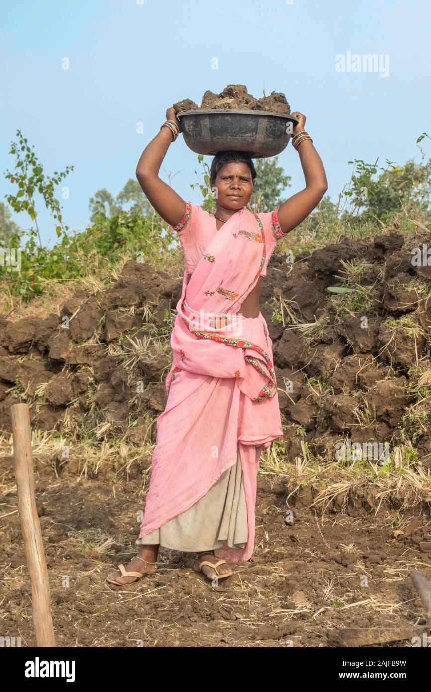 Bichhiya/Indien/Dezember 11, 2019: Bauern, Arbeiter, indem er rams in den Feldern und mit Spaten. Stockfoto