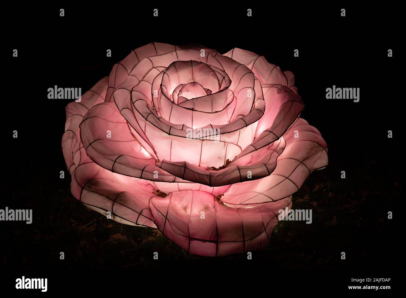 Warschau, Polen - 16 Dezember, 2019: blühende Blume an chinesischen Licht Festival, traditionelle chinesische Kultur Ausstellung in der Nacht im Fort Bema Stockfoto