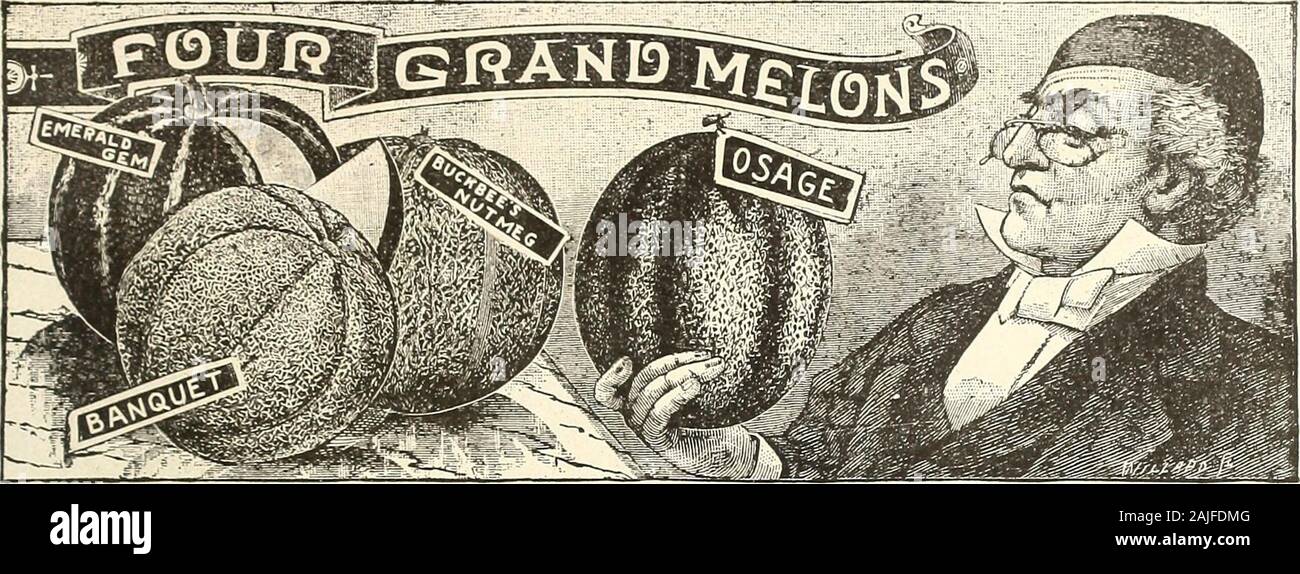 H.W Buckbee Samen und Pflanzen Guide: 1905. BEEFSTEAK IST DIE BESTE TOMATE. Vergessen Sie es. Finden Sie auf der inneren Umschlagseite. H. W BUCKBEE, Rockford. ILLINOIS. 39. Smaragd Edelstein - der Standard of Excellence unter der Lachs - fleshedvarieties. Früchte klein bis mittelgroß, kugelig oder Veryslightly an den Enden abgeflacht, nur leicht verrechnet und gerippt. Haut tief grün, während junge, getönt, mit gelben asder Obst reift; Fleisch tief Lachs gelb, dick, ripeningclose auf die Rinde; unübertroffen im Geschmack. Führt sie alle schon in vielen großen Märkten. Pkt. 4c; Oz. 8"; 2 oz. 15 C.; ich Lb. 25 c; Yi lc 40 c; lb. 75 o. Osage, oder Stockfoto H.W Buckbee Samen und Pflanzen Guide: 1905. BEEFSTEAK IST DIE BESTE TOMATE. Vergessen Sie es. Finden Sie auf der inneren Umschlagseite. H. W BUCKBEE, Rockford. ILLINOIS. 39. Smaragd Edelstein - der Standard of Excellence unter der Lachs - fleshedvarieties. Früchte klein bis mittelgroß, kugelig oder Veryslightly an den Enden abgeflacht, nur leicht verrechnet und gerippt. Haut tief grün, während junge, getönt, mit gelben asder Obst reift; Fleisch tief Lachs gelb, dick, ripeningclose auf die Rinde; unübertroffen im Geschmack. Führt sie alle schon in vielen großen Märkten. Pkt. 4c; Oz. 8"; 2 oz. 15 C.; ich Lb. 25 c; Yi lc 40 c; lb. 75 o. Osage, oder Stockfoto