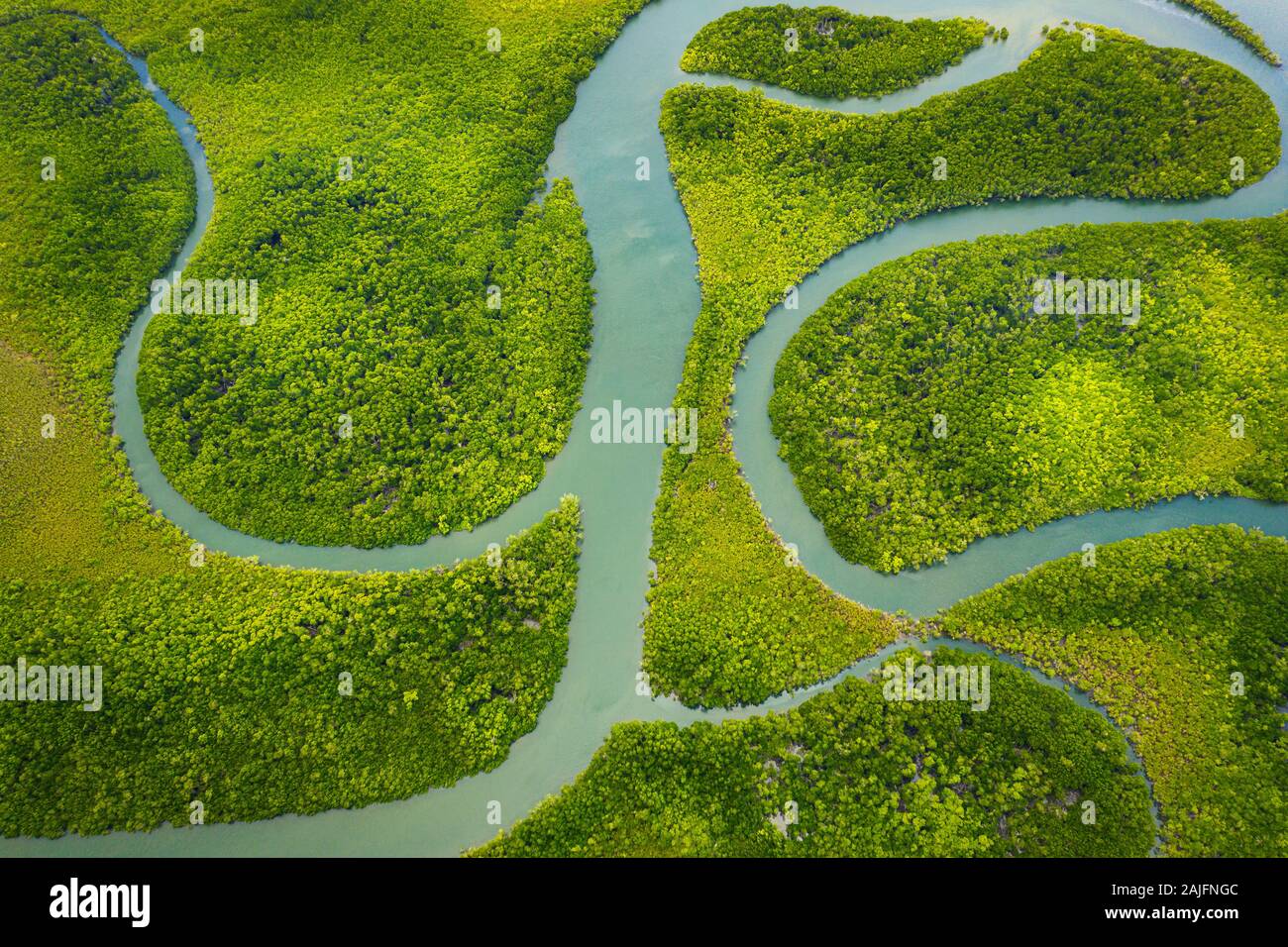Aus der Luft der berühmte Hinchinbrook Channel und seine Mangroven. Stockfoto