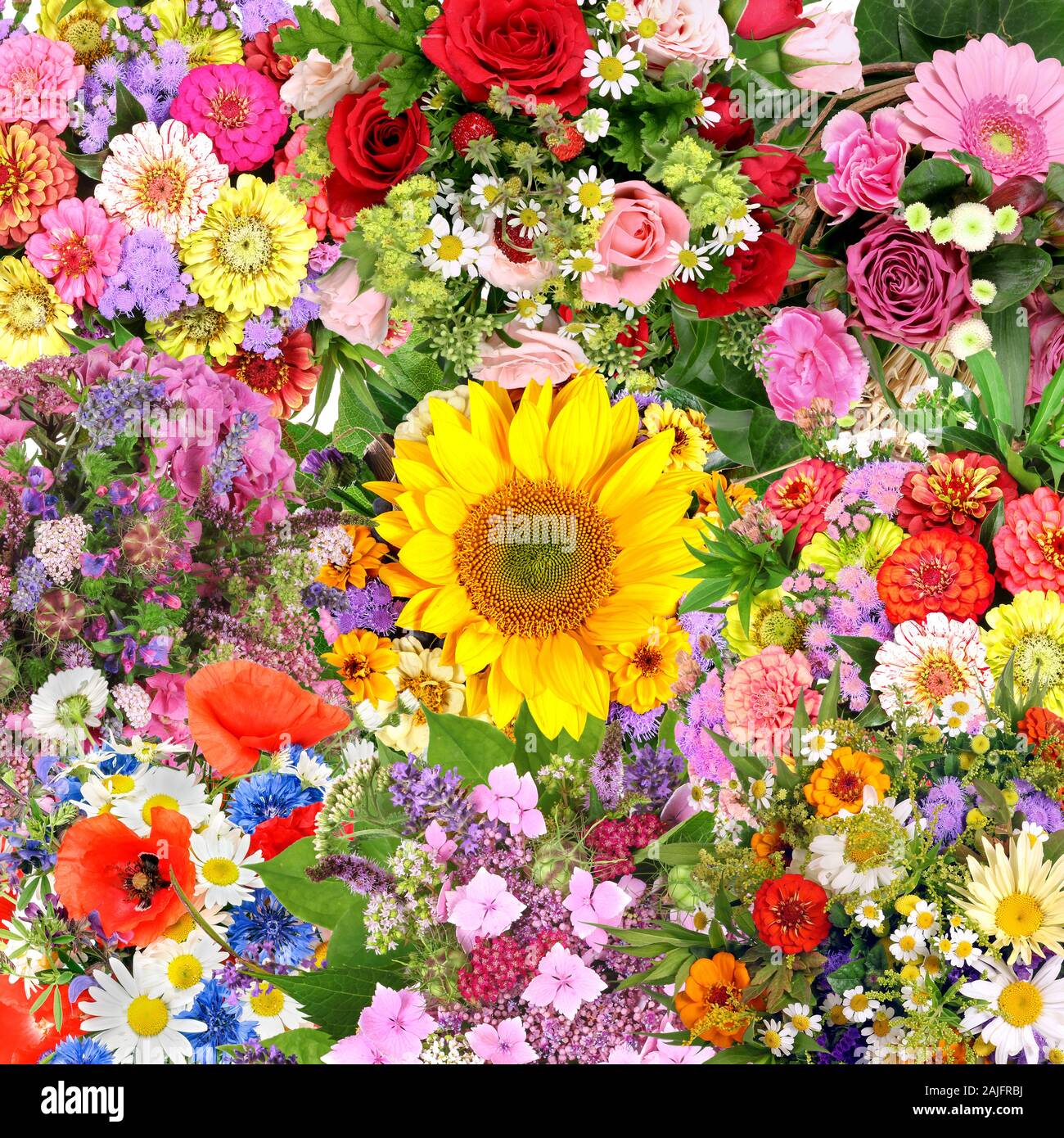 Verschiedene bunte Blumensträuße Stockfoto