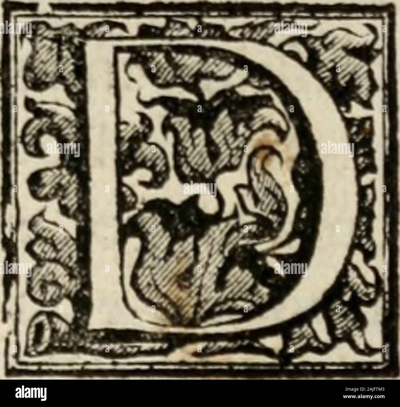 Tofi Stockfotos Und Bilder Kaufen Alamy