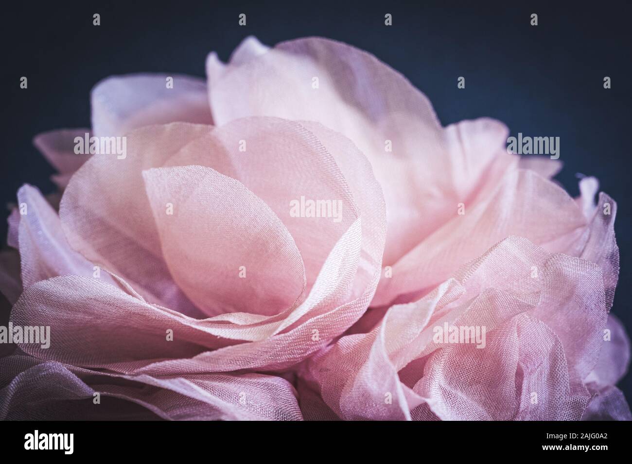 Rosa Blütenblätter einer Rose aus Stoff. Stockfoto