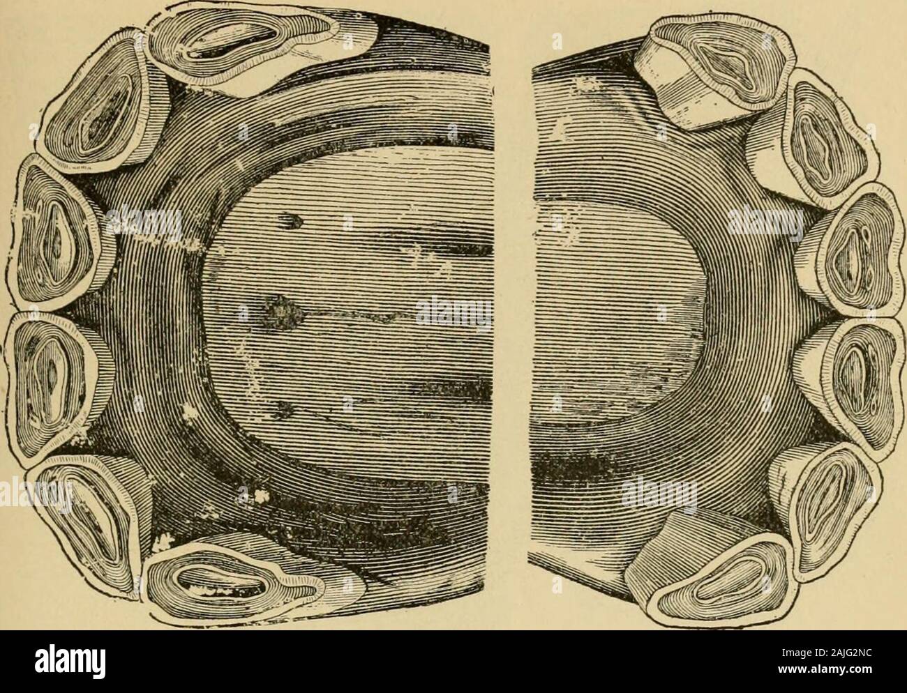 1 71 M Stockfotos Und Bilder Kaufen Seite 13 Alamy