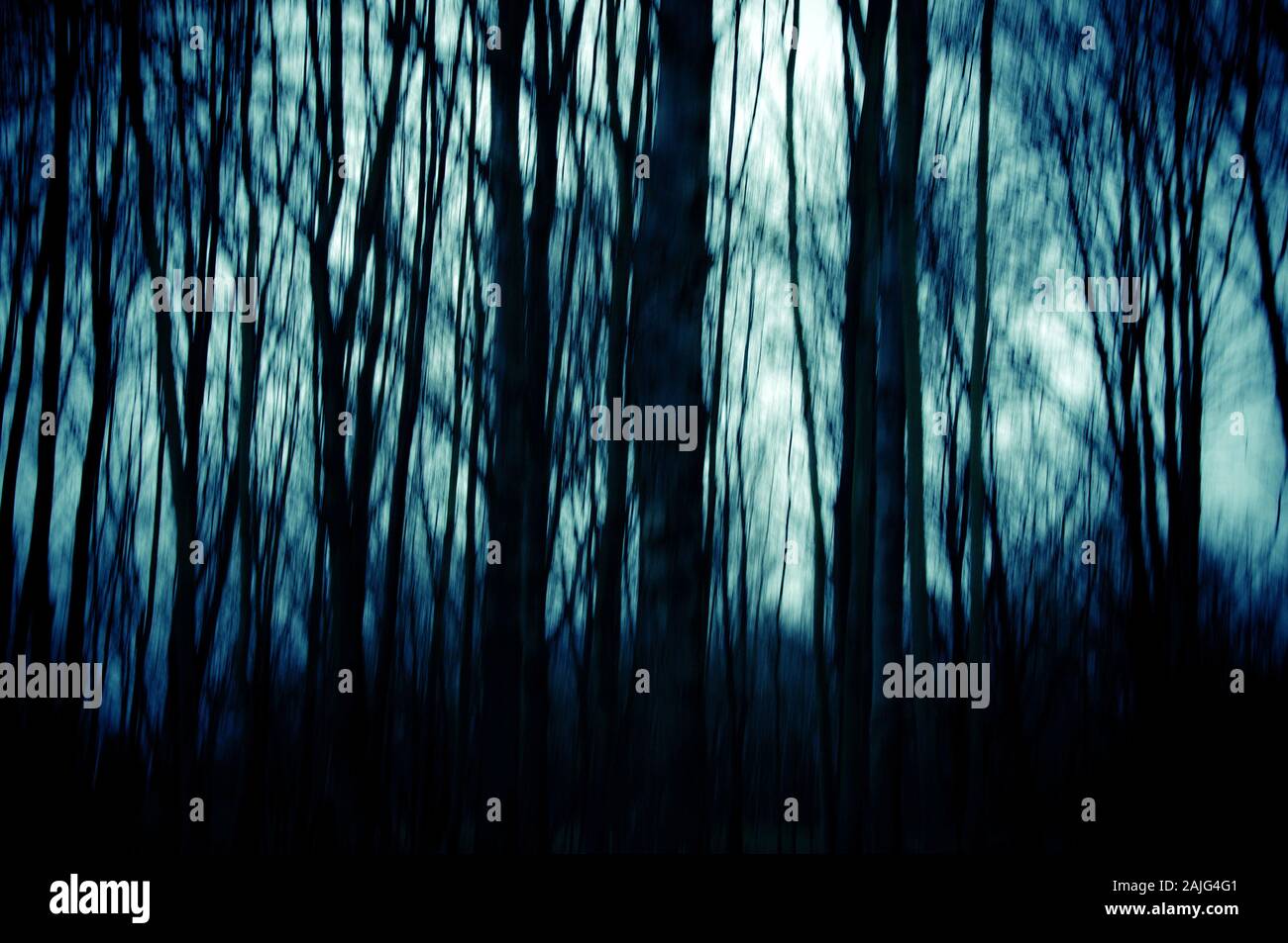 Motion blur Effekt von einem Wald von Bäumen in Silhouette Stockfoto