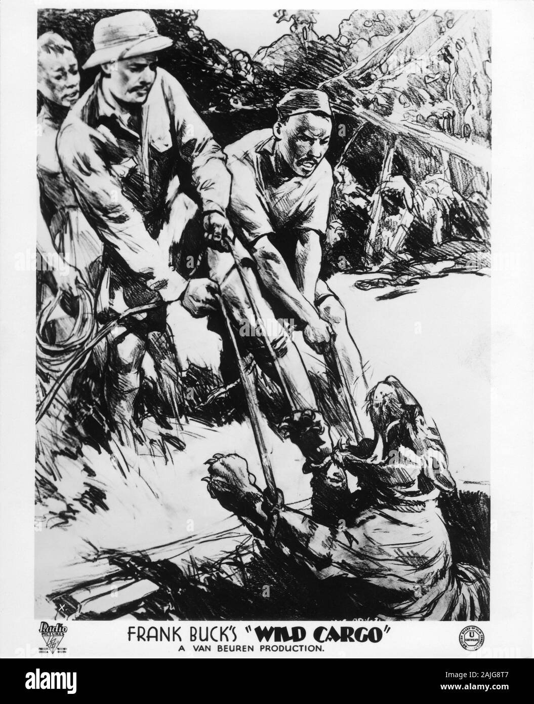 FRANK BUCK in den wilden CARGO 1934 Regisseur Armand Denis Van Beuren Studios/RKO Radio Pictures Stockfoto