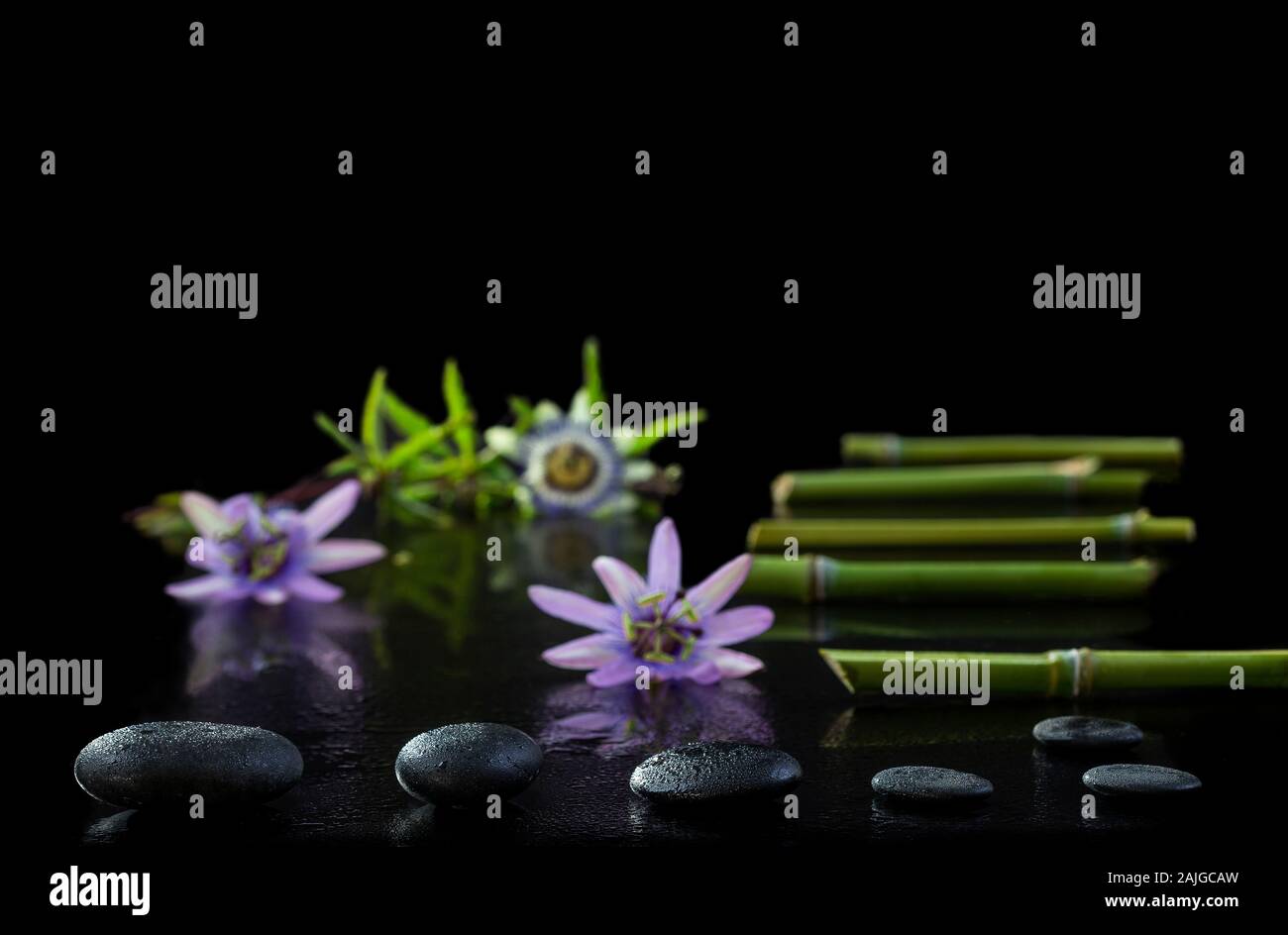 Wunderschöne Spa Komposition mit Passiflora, Bambus und Steine auf schwarzem Hintergrund Stockfoto