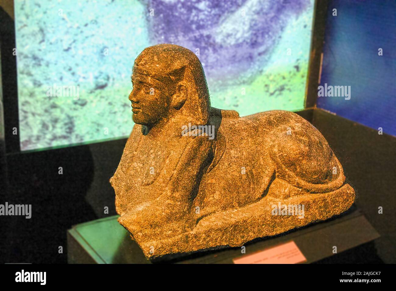 Ägypten, Alexandria, National Museum, eine Sphinx. Während der Ausgrabungen unter Wasser Franck Goddio gefunden und in seinen Ausstellungen angezeigt. Stockfoto