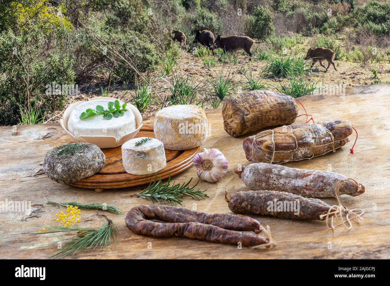 Korsische Käse und Fleisch Stockfoto