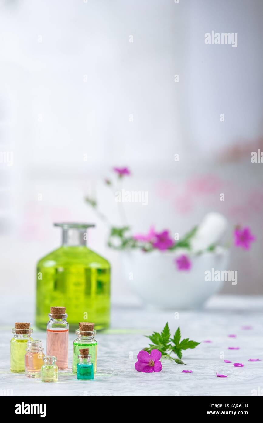 Ätherisches Geranium Öl Stockfoto