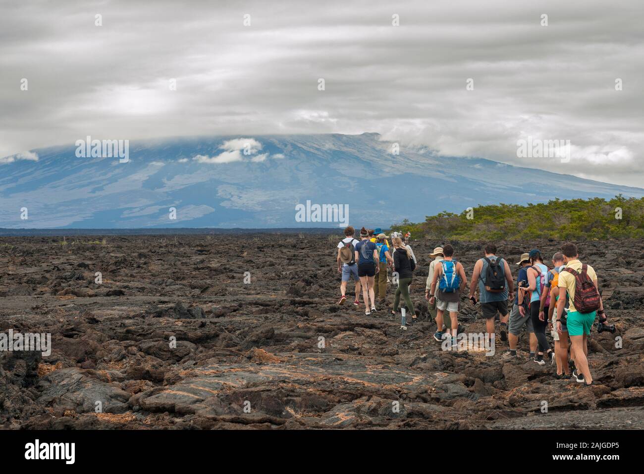 Touristen zu Fuß auf die vulkanische Landschaft bei Punta Moreno auf der Insel Isabela, Galapagos, Ecuador. Der Cerro Azul Vulkan im Hintergrund. Stockfoto