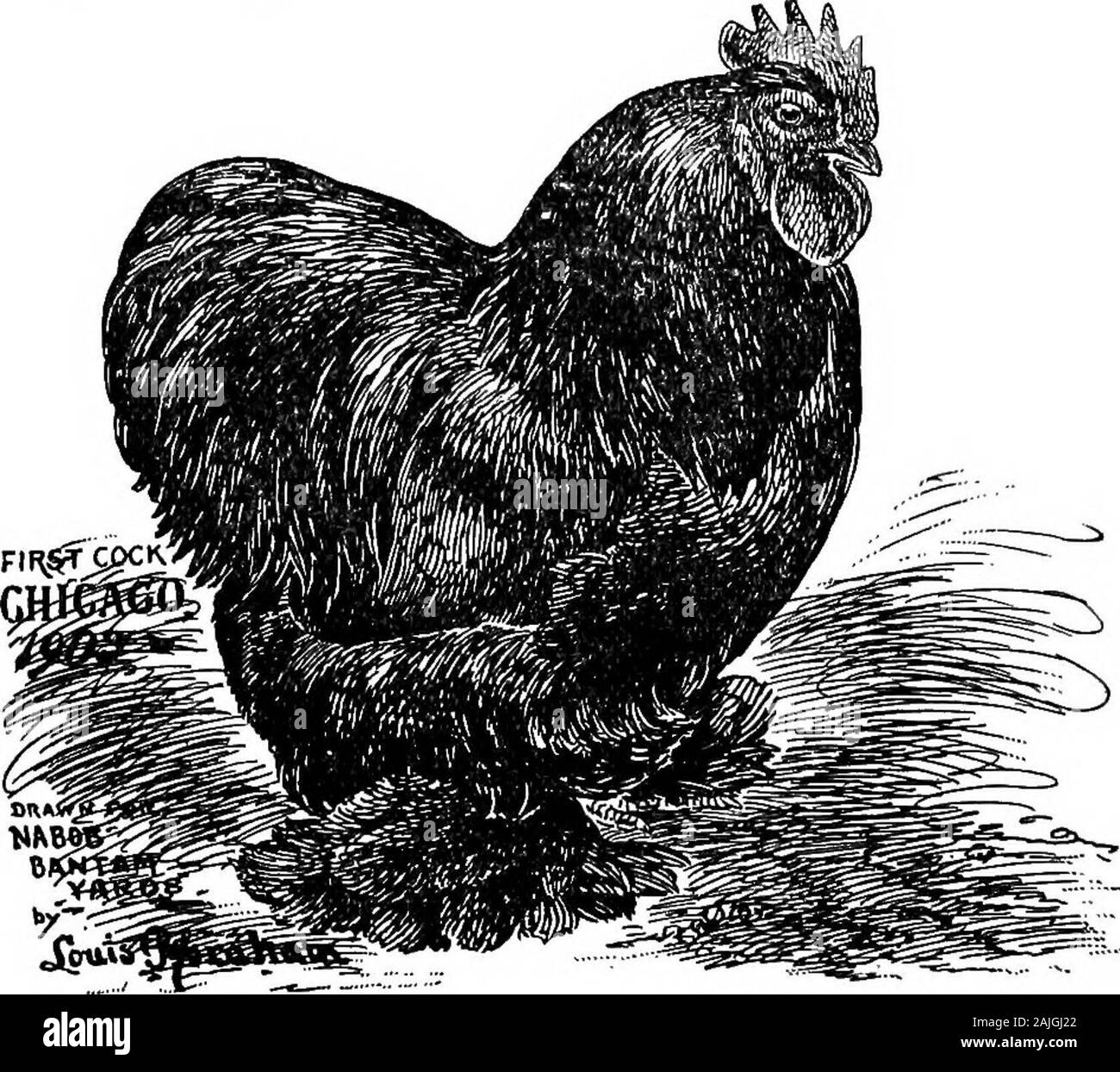 Die kleineren Vögel; eine Beschreibung aller gängigen Rassen und Sorten von zwerghühner und neuer Rassen, die immer beliebt sind.. . Ur Methode. Für mich die Zucht von zwerghühner unterscheidet sich nicht materiallyfrom Sonstiges oder Beruf. Bilden ein Successone muss in der Liebe mit der Arbeit sein und ich Mitleid mit dem Mann, der isin der Geschäft einfach für das Geld, das in ihm ist. Der coursewe sind alle nach dem Dollar, der ist perfekt, direkt als longas kriegen wir das auf legitime Weise; aber es ist so viel nicerwhen wir unsere Arbeit lieben; dann wird es ein Vergnügen, statt, der alle Arbeit. Wenn Sie nicht lieben ihre zwerghühner Meine Stockfoto