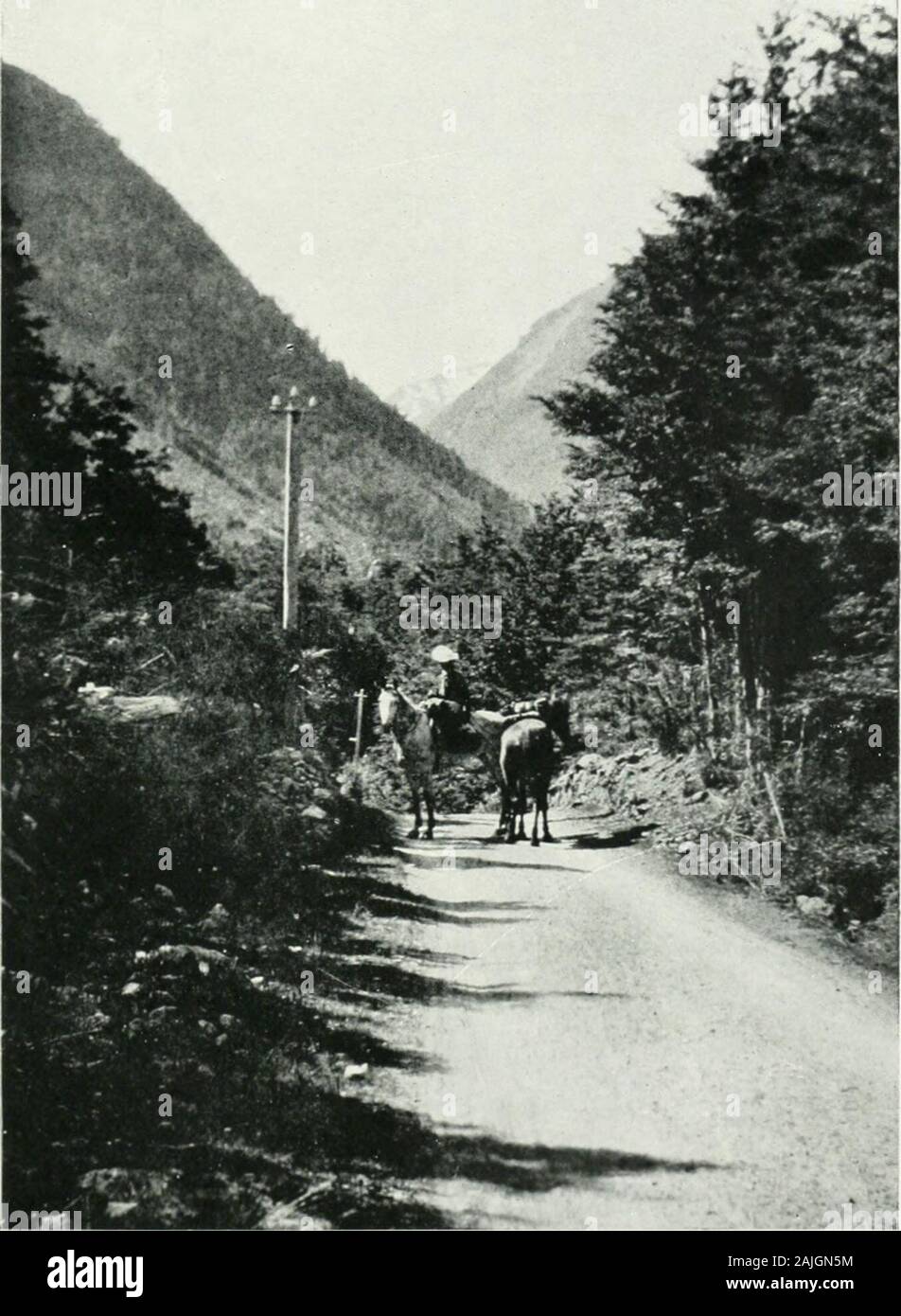 Durch South Westland: Eine Reise zu den Haast und Mount Aspiring Neuseeland. ad auf See gewesen, alle seine lifeand Nie ruiniert, bis die WaimakaririRiver es tat. Einmal über ritten wir die Bealey. Die gorgewound unter steile Berge, gekleidet in greatpart zu den südlichen Buche; Wasserfälle werefrequent, und einen schönen Blick auf die schneebedeckten reicht. Dann haben wir uns auf die aufgeteilt werden, so genannte Arthurs Passwhere sind drei kleine Bergseen liegen auf einem massof alte Moräne, die scheint zu füllen den Raum - zwei parallele reicht. Von einer Seite der thisthe Wasser Ost, und von den anderen West. Alle diese alpine meado Stockfoto