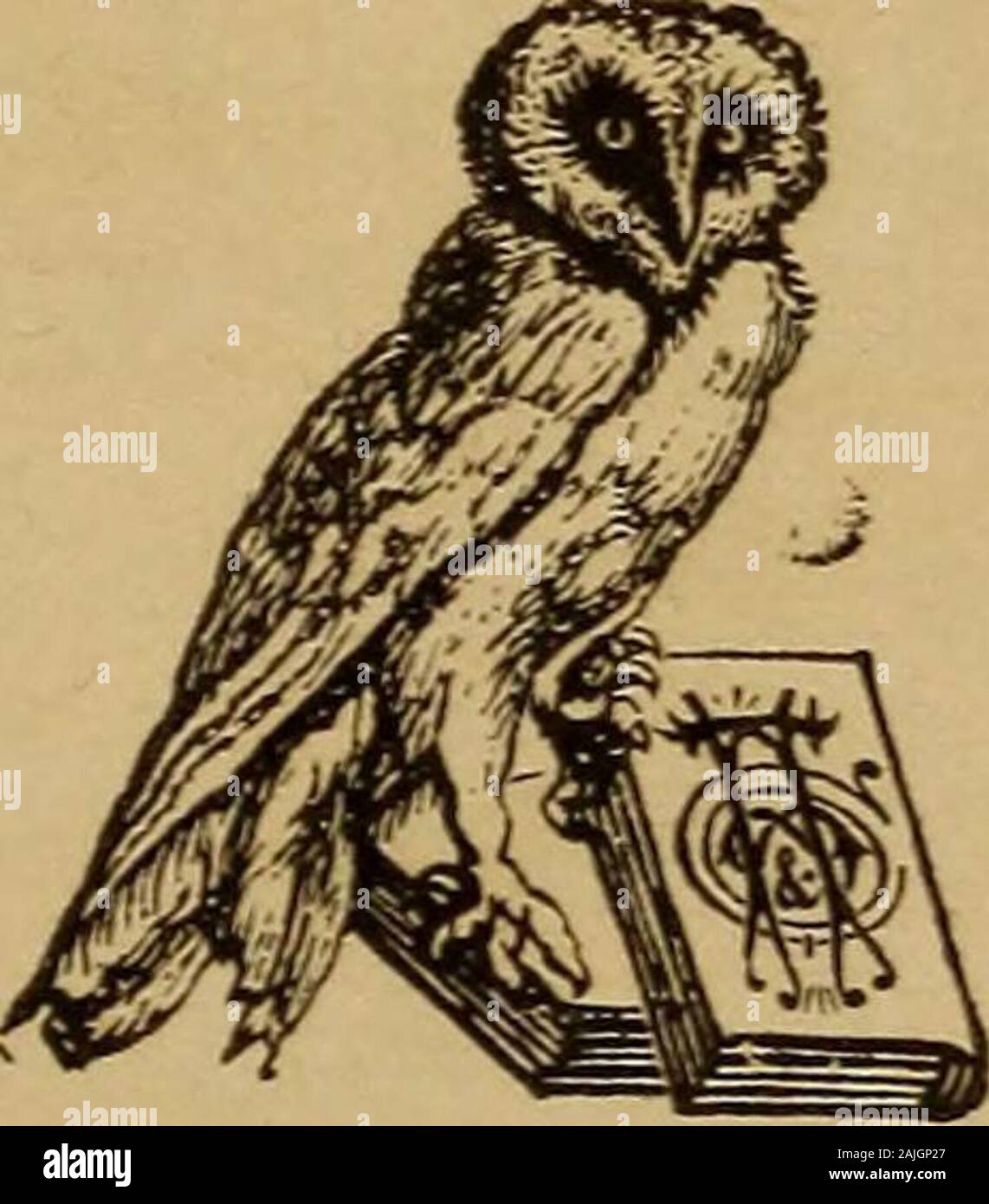 Der menschliche Körper ist ein Anfänger Lehrbuch der Anatomie, Physiologie und Hygiene. . Autical Almanach, und Edward S. Holden, der Direktor der Washburn Observatory. $ 1.40. Der menschliche Körper. Durch H. Newell Martin, Professor an der Johns Hopkins Universität. $ 1.50. Zoologie. Durch A. S. Packard, Jr., Professor ofZoology und Geologie in der Brown University, Editorof der American Naturalist, $ 1,40. Politische Ökonomie. Von Francis A. Walker, Präsident Massachusetts Institut für Technologie. $ 1,50. Botanik. Von C.E.Bessey, Professor in der IowaAgricultural College und später Dozent an der Universität von Kalifornien. $ 1,35. HENRY Stockfoto