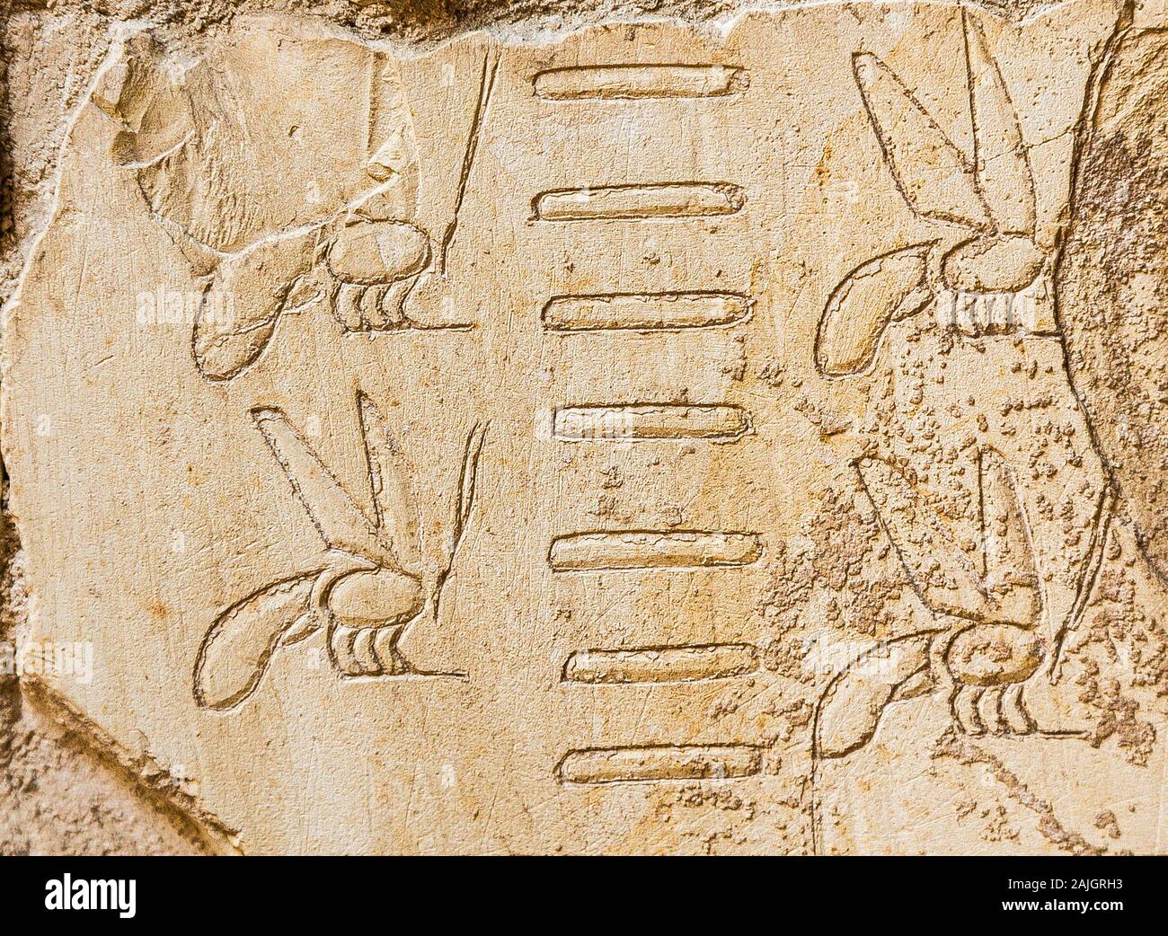 UNESCO Welterbe, Theben in Ägypten, Assassif (Teil des Tals der Adligen), Grab von Anchhor. Bienenvölker und Bienen. Stockfoto