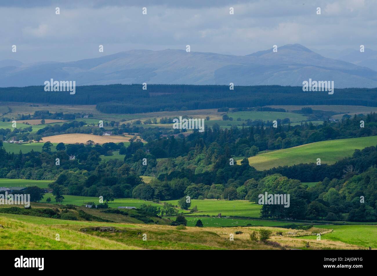 Landschaft in den schottischen Lowlands Scotland UK Stockfoto
