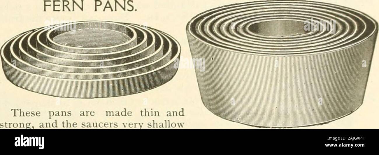 Die Farquhar Herbst Katalog: 1911. Oirt. Dia. Wird takeabout Pot 12 m 14 t6 10 12 14 jeweils 3 wirft, $ 0,55; 3^65 4 .80 Doz.) 6. oo 7.209 .00 WALZGERÜSTEN. Für schwere Pflanzen und Palmen. Plattformen sind verhärtet FiberWare. Wird nicht einweichen oder Rost aus. Dia. über Topf jeweils 18 in Anspruch nehmen wird. 16 in. 4 wirft, J 0,90 20 18 4 1,05 22 20 5 1,30. Diese Pfannen sind dünne andstrong und die untertassen sehr shallowThey besonders für Verkleidungen zu Porzellan und Silber farn Pfannen angepasst sind. angegebenen Maße sind Außenmaße. pora sAuefeR? SIes Tun*. 100 l&gt;&gt; *v iOd 4 X 1 ^, $ o. 35 $ 2. oo $ e) 20 $ i 2 o 4^x2&gt;^- Stockfoto