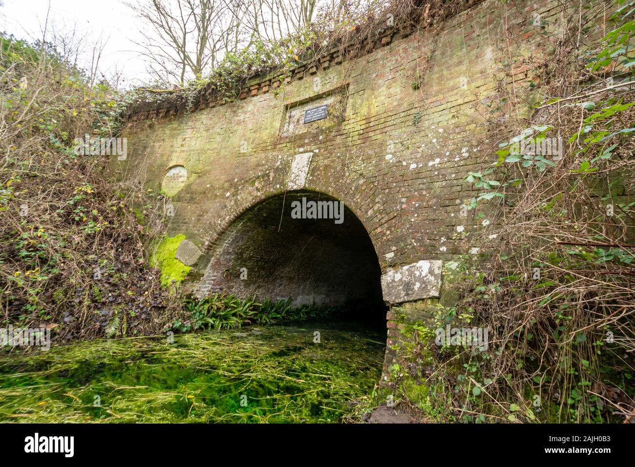 Greywell Tunnel auf der Basingstoke Canal, heute ein wichtiger Standort für überwinternden Fledermäuse, Hampshire, Großbritannien Stockfoto