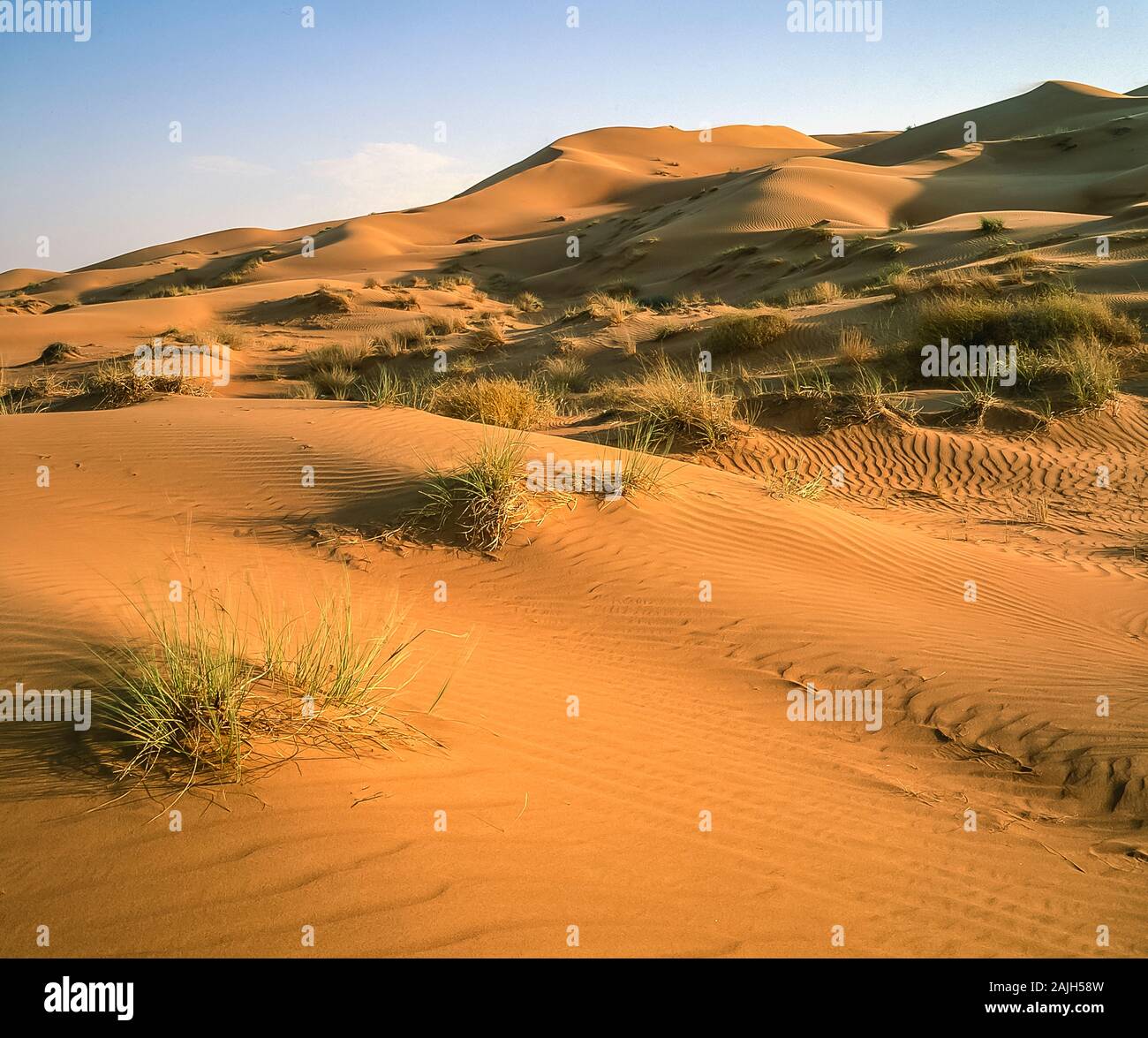 Dubai. Schöne Wüstenlandschaft mit natürlichen, von Wind verwehten Sanddünen in der Nähe des Dorfes Al Dhaid am Straßenrand zwischen der Stadt Dubai und der ländlichen Festung Oasis Stadt Hatta Stockfoto