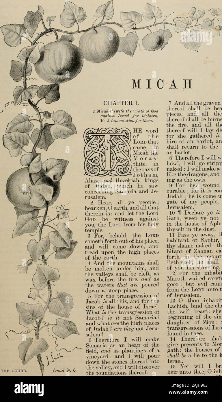Die Kunst, Bibel, bestehend aus dem Alten und Neuen Testament: Mit zahlreichen Abbildungen. d der Stadt. 6 Undf der LordGod agourd vorbereitet, und Madeit bis zu overJonah kommen, dass es vielleicht ein Schatten über sein Haupt, Todeliver ihn von seinem Kummer. So Jonahwas sehr froh des Kürbisses. 7 Aber Gott prejDared ein Wurm, wenndie Morgen stieg am nächsten Tag, und itsmote den Rizinus, daß er verdorrte. 8 Und es begab sich, da die sundid ergeben, dass Gott ein jDrejDared vehementeast Wind; und die Sonne stach Jona auf thehead, daß er matt andwished in sich zu sterben und sprach: Es ist für mich besser zu sterben. Stockfoto
