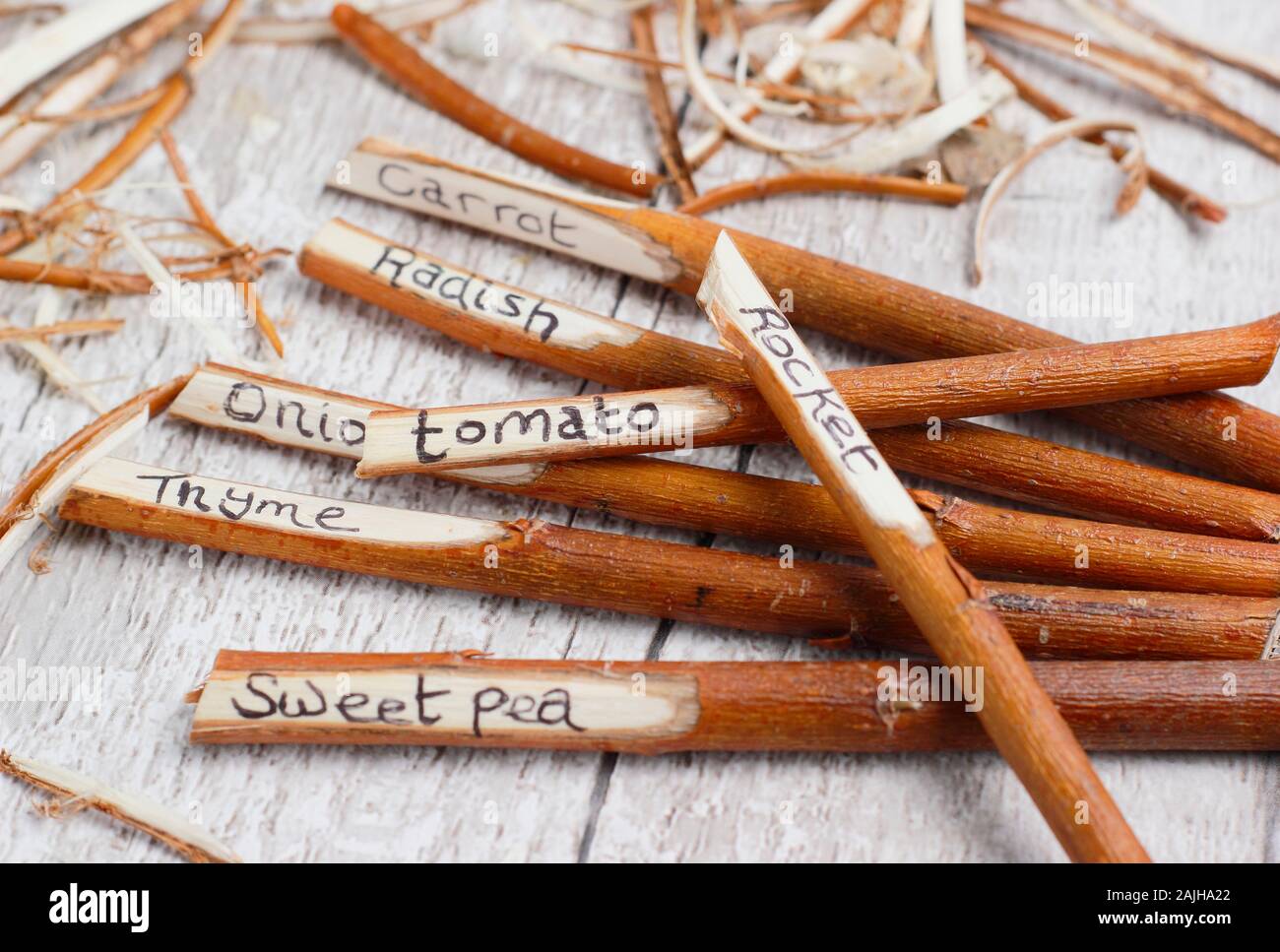 Cornus. Hausgemachte Anlage labels Umgearbeitet von hartriegel Zweigen. Großbritannien Stockfoto