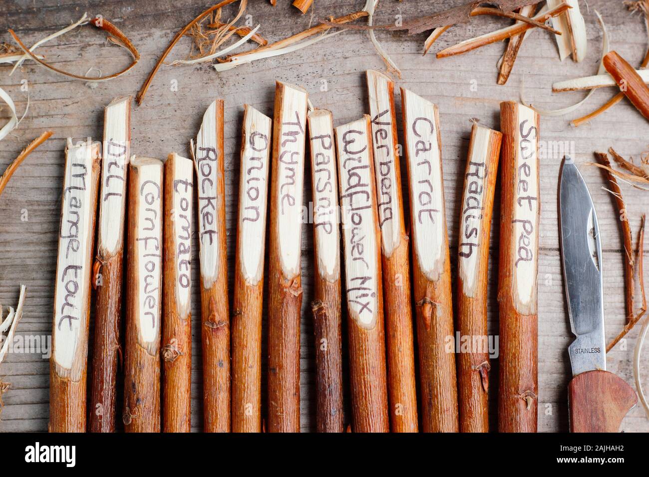 Cornus. Hausgemachte Anlage labels Umgearbeitet von hartriegel Zweigen. Großbritannien Stockfoto