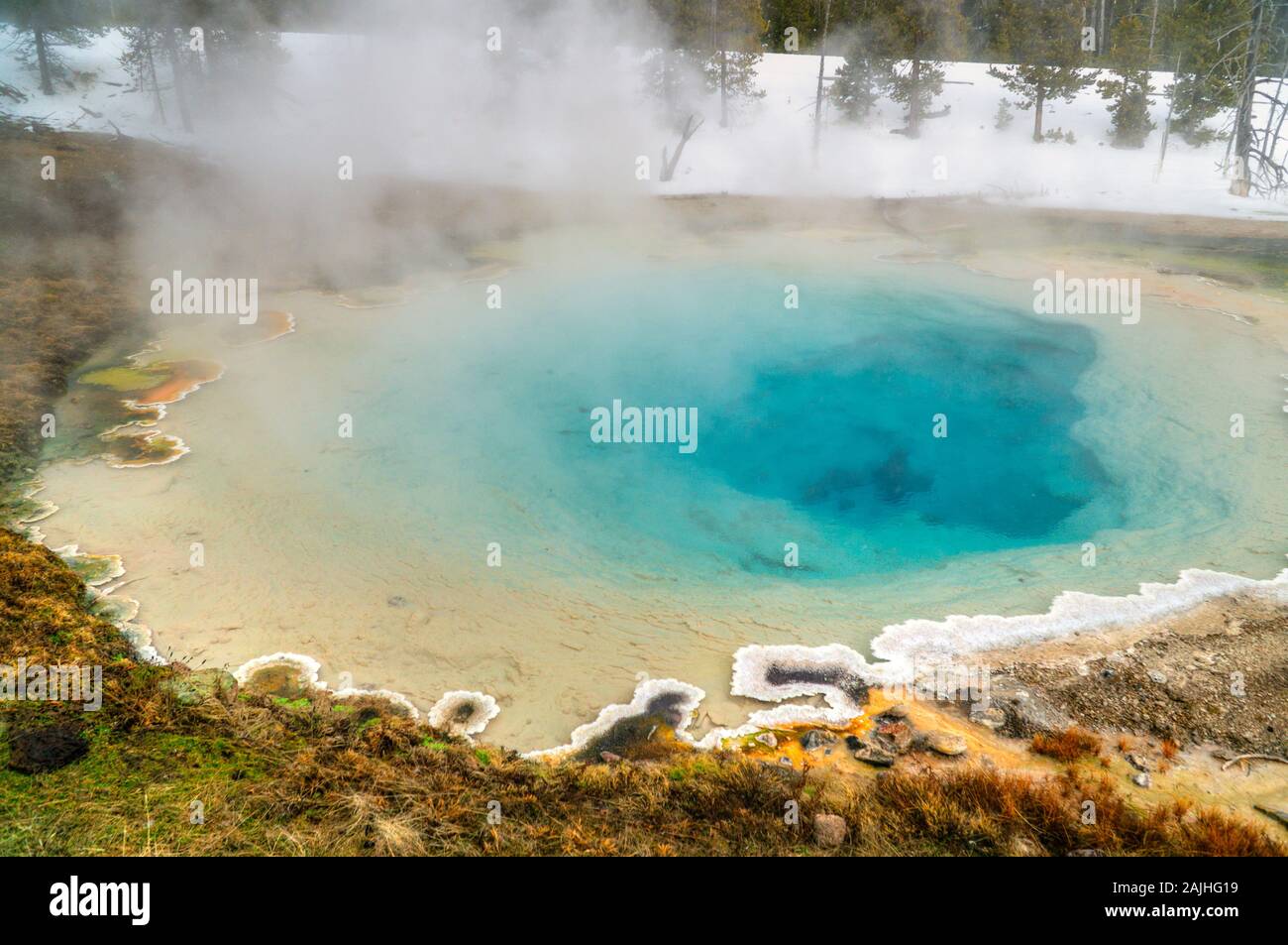 Ansicht der Norris Geyser Basin mit einem geothermischen Blue Pool, Yellowstone National Park, USA. Stockfoto