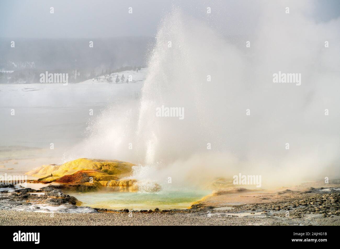 Ansicht der Norris Geyser Basin mit einem gelben Geyser, Yellowstone National Park, USA. Stockfoto