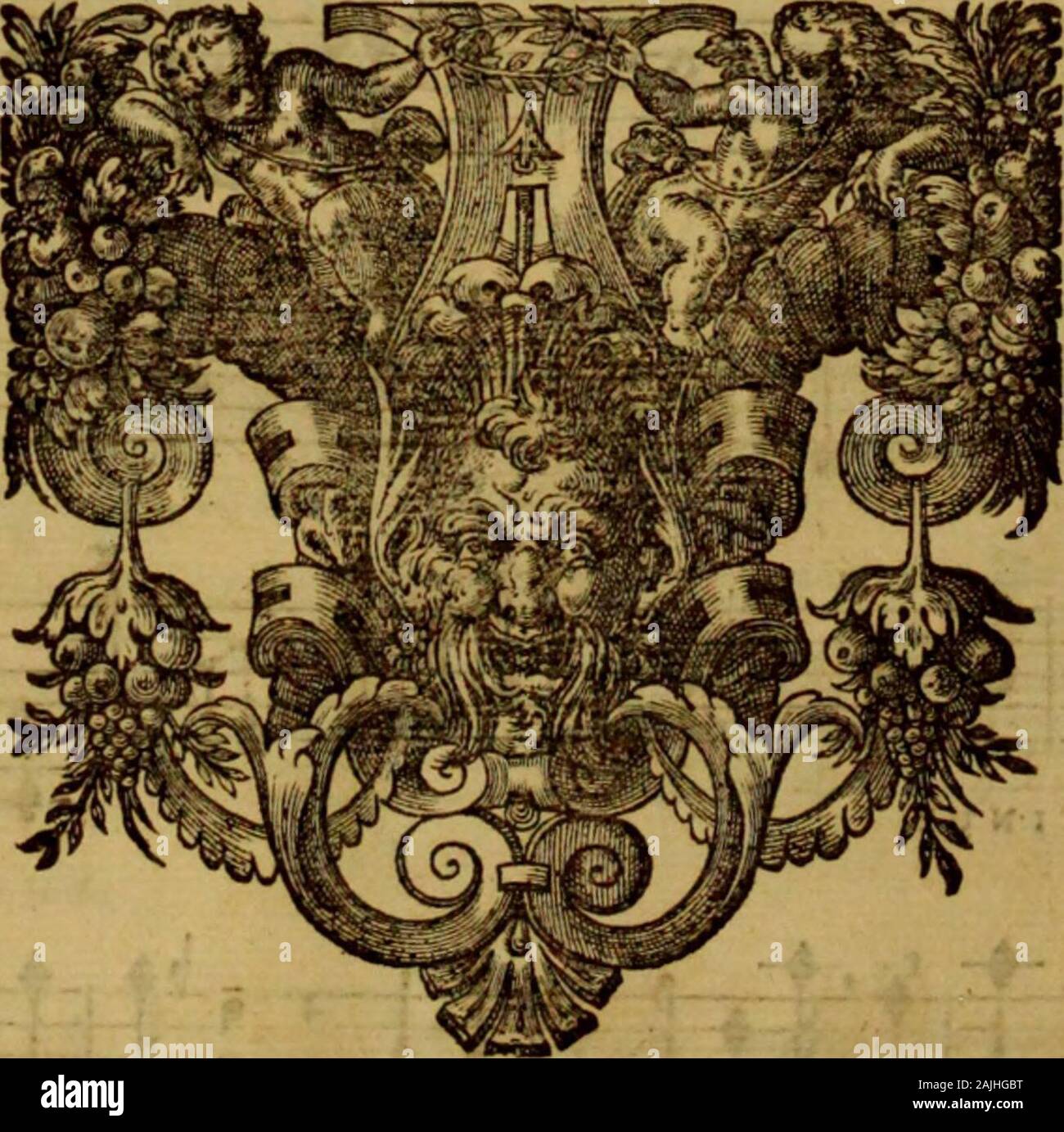 Tf fin Fotos und Bildmaterial in hoher Auflösung Alamy