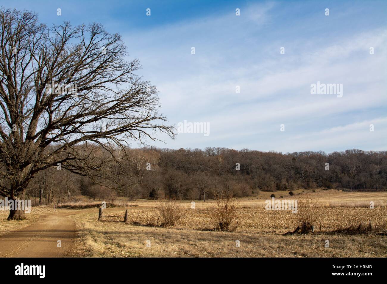 Unbefestigte Straße durch den Mittelwesten Landschaft. Bureau County, Illinois, USA Stockfoto