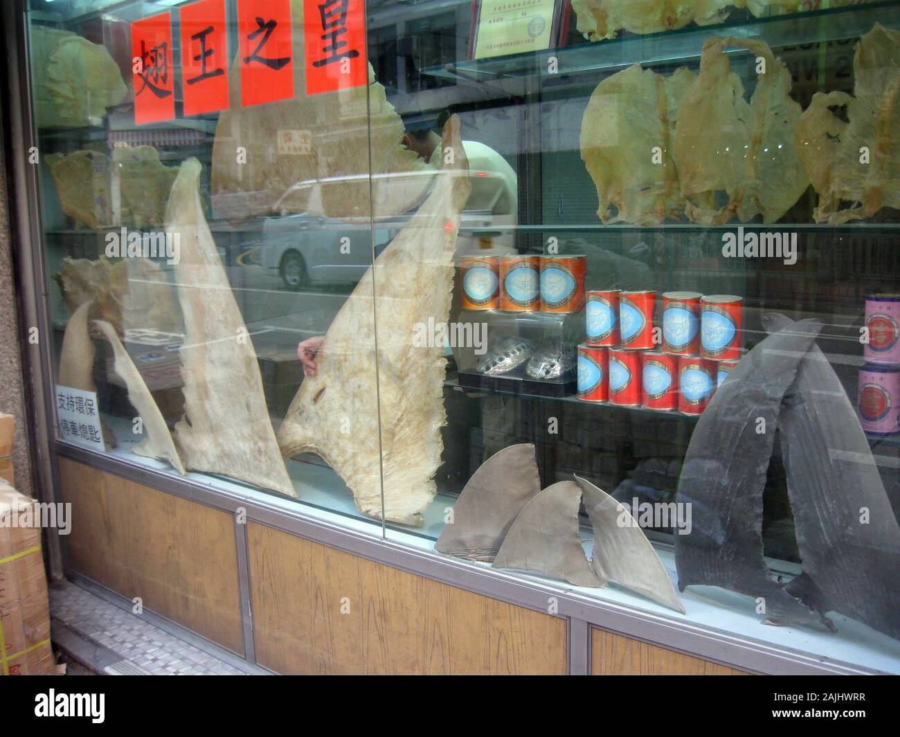 Shark Fin wird auf einem chinesischen Markt in Hongkong verkauft Stockfoto