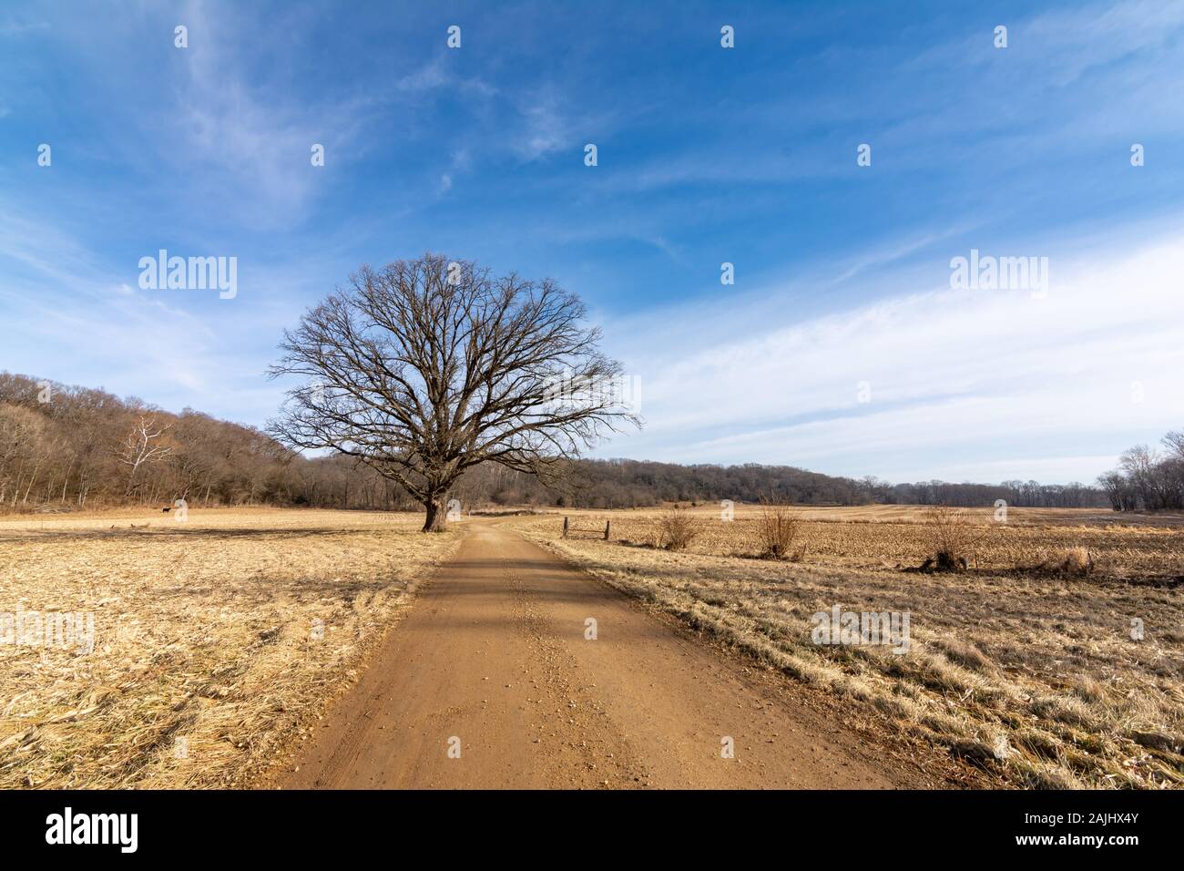 Atemberaubende karge Winterszene entlang einer unbefestigten Straße durch die Landschaft des Mittleren Westens. Bureau County, Illinois, USA Stockfoto