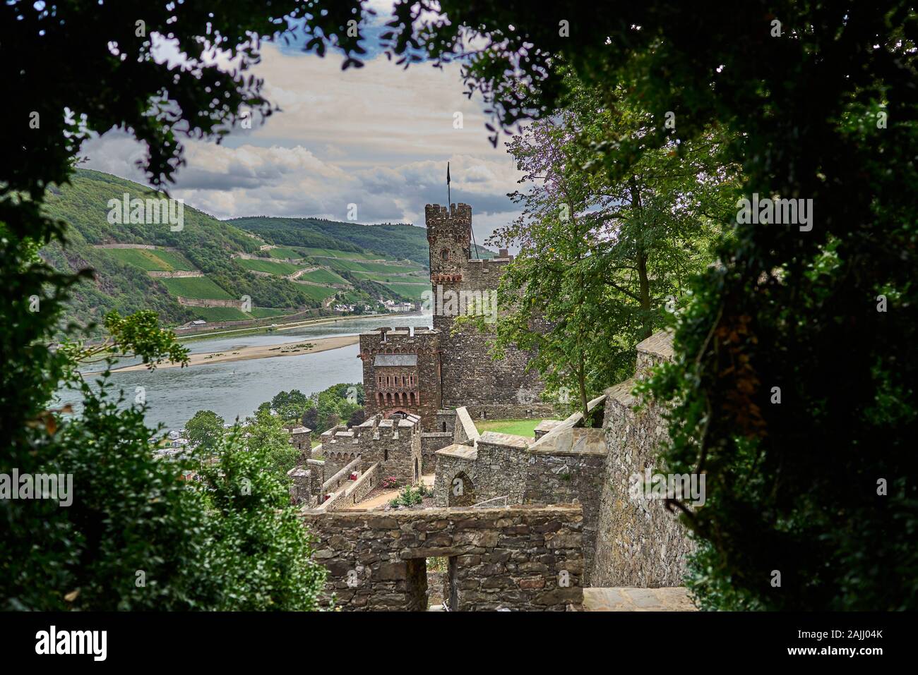 Herrliche Aussicht durch einen Baumwald auf die Burg Reichenstein mit Blick auf den schönen Rhein und die abschüssigen Weinberge. Deutschland Stockfoto