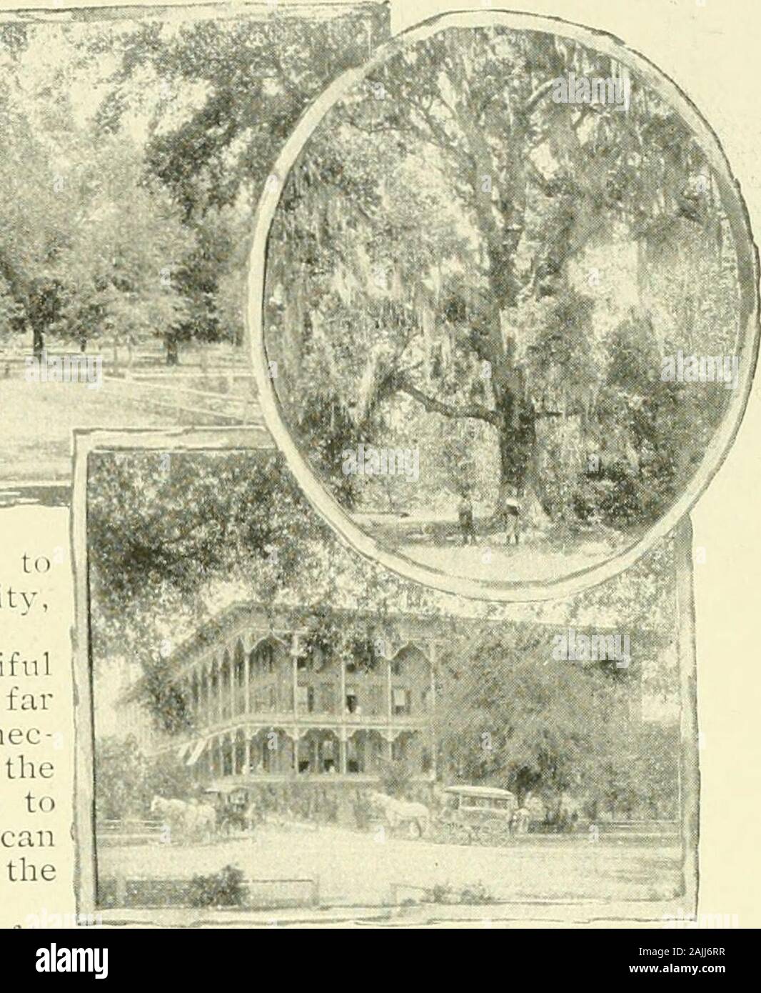 Das Land der Himmel, und darüber hinaus. entucky; wieder throughEverett, durch einen durch, byMacon, Atlanta, Birmingham, jNIem -; Phis, auf den Täuschungen des Mississippi, | in die Herzen von Missouri und an ^-^^fs^ istxthe Plains von Kansas; und noch eine andere Linie againby nach St. Louis, von Holly Springs, toChicago von der Illinois Central, und so weit wie Sioux City, Awith aber eine Änderung des Autos. Der Westen ist ein Arm strecken durch die l:) eautifulHill Countrv der mittleren Florida, auf seine eigene Linie Befolgensie hinsichtlich der Chattahoochee River, wo eine Verbindung mit dem Louisville und Nashville, es Tak Stockfoto