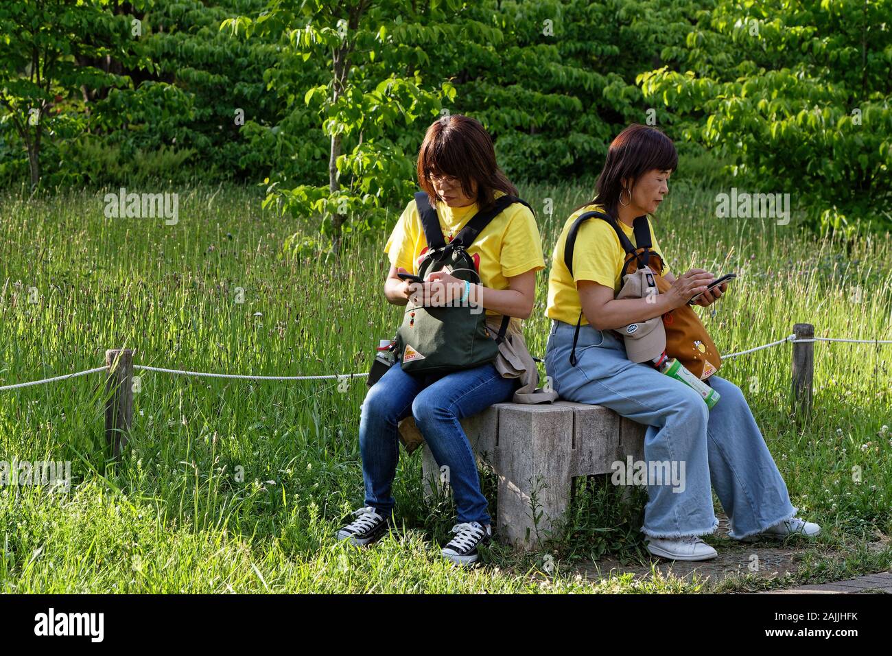 Tokio, Japan, 19. Mai 2019: Zwei japanische Frauen in Smartphone Interaktion in einem Tokio Park verloren. Stockfoto