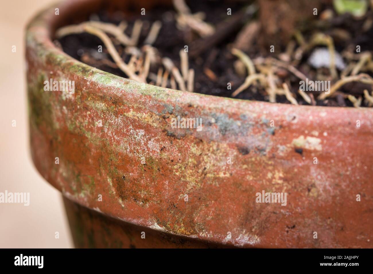 Terrakottatopf im Alter von Stockfoto