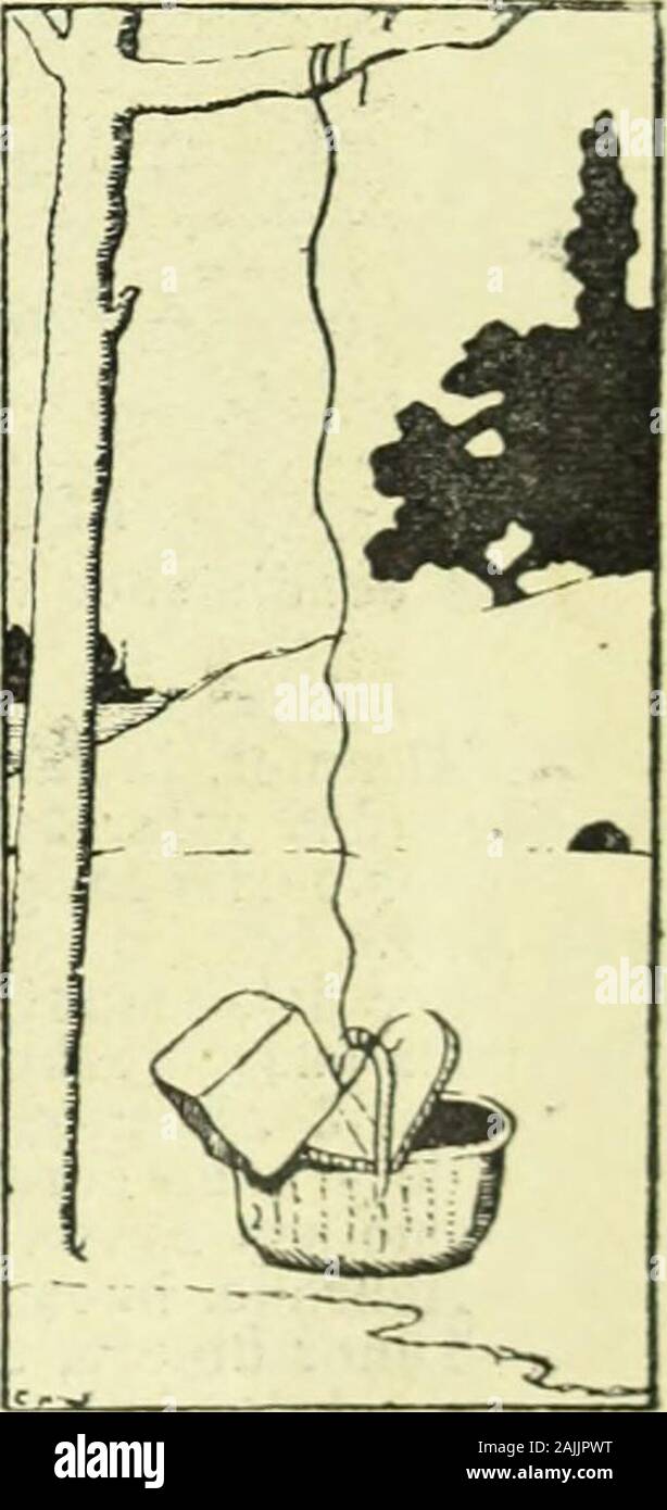 La Mujer. PREGUNTASN. o4. ¿Cuál es el Signo más que establece característico una • Allgemeine diferencia entre las Personas y los Irracionales? Kontakte No 5 ¿Qué es el más Sentido corporal Wer en el "Äh humano, en el Pez, en el Ave y en el cuadrúpedo? Todas las Antworten razonables se premian con unAlmanaque de La Mujer. Antworten Á las Preguntas Nr. 1, 2 y 3 publicadas en el número anterior. PREGUNTA PRLMERA ¿Cuál es el dón que más desea la Mayor parte de lashijas de Eva? Antworten - El don más grandioso Es la Belleza. Leonor F. G.-La Felicidad. Señorita Elvira. - Don Dinero, y la hermosura p Stockfoto