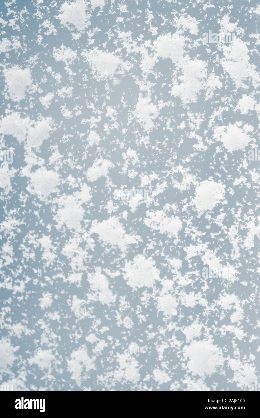 Große Schneeflocken am Fenster, Makro, Nahaufnahme Stockfoto