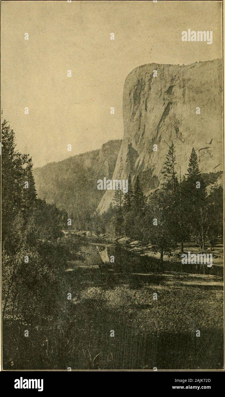 Einblicke in unsere Nationalparks. 72 El Capitan aus dem Osten, Yosemite National Paek o w o Stockfoto