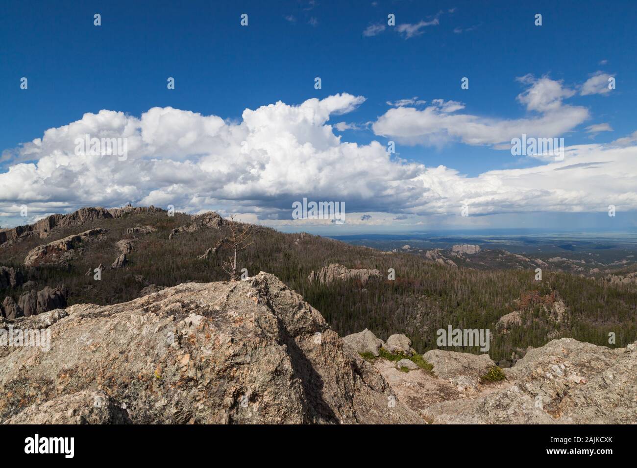 Die Landschaft der Custer State Park mit schwarzen Elch Peak, ehemals Harney Peak, der höchste Punkt in South Dakota und der Rückseite des Rock forma Stockfoto