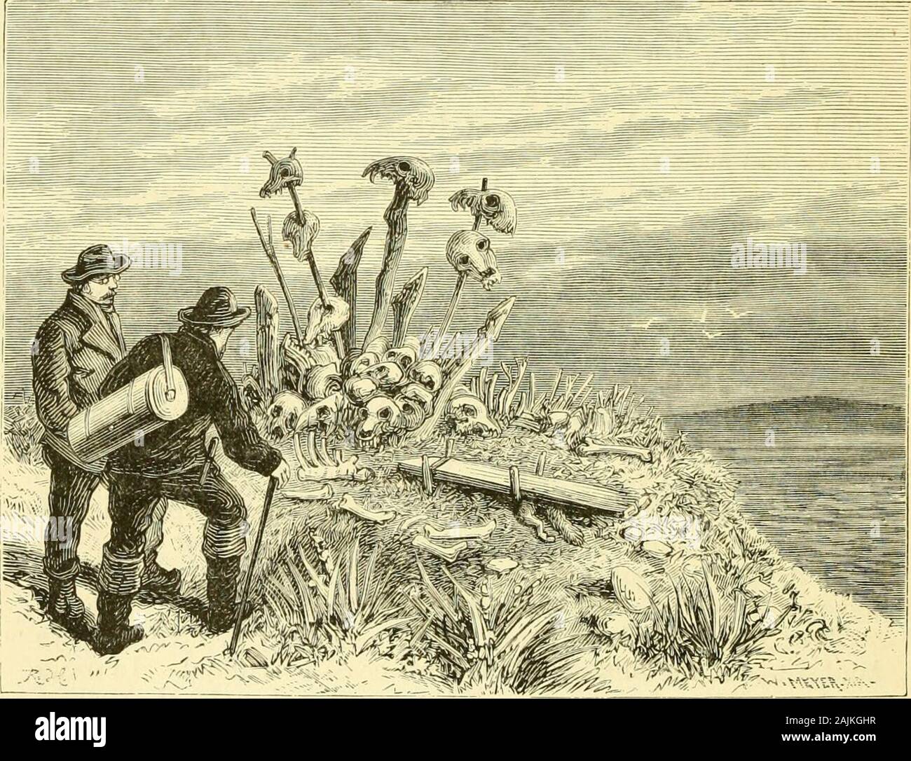 Waldburg zeil Fotos und Bildmaterial in hoher Auflösung Alamy