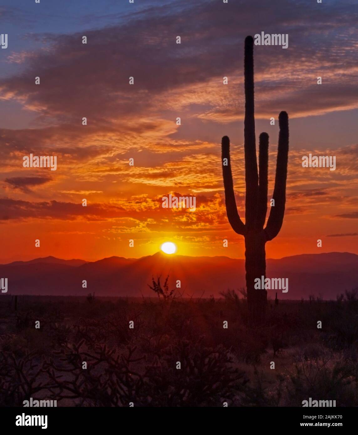 Lebendige AZ Sonnenaufgang mit lone Lone Saguaro Kaktus Silhouette und Sonnenstrahlen. Stockfoto