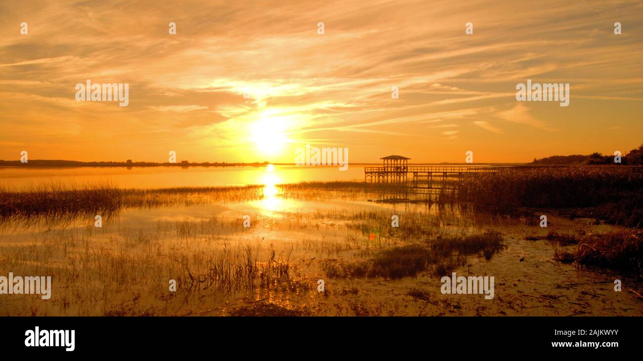 Sonnenuntergang im Twin Oaks Conservation Area in der Nähe von Kissimmee, Florida. Stockfoto