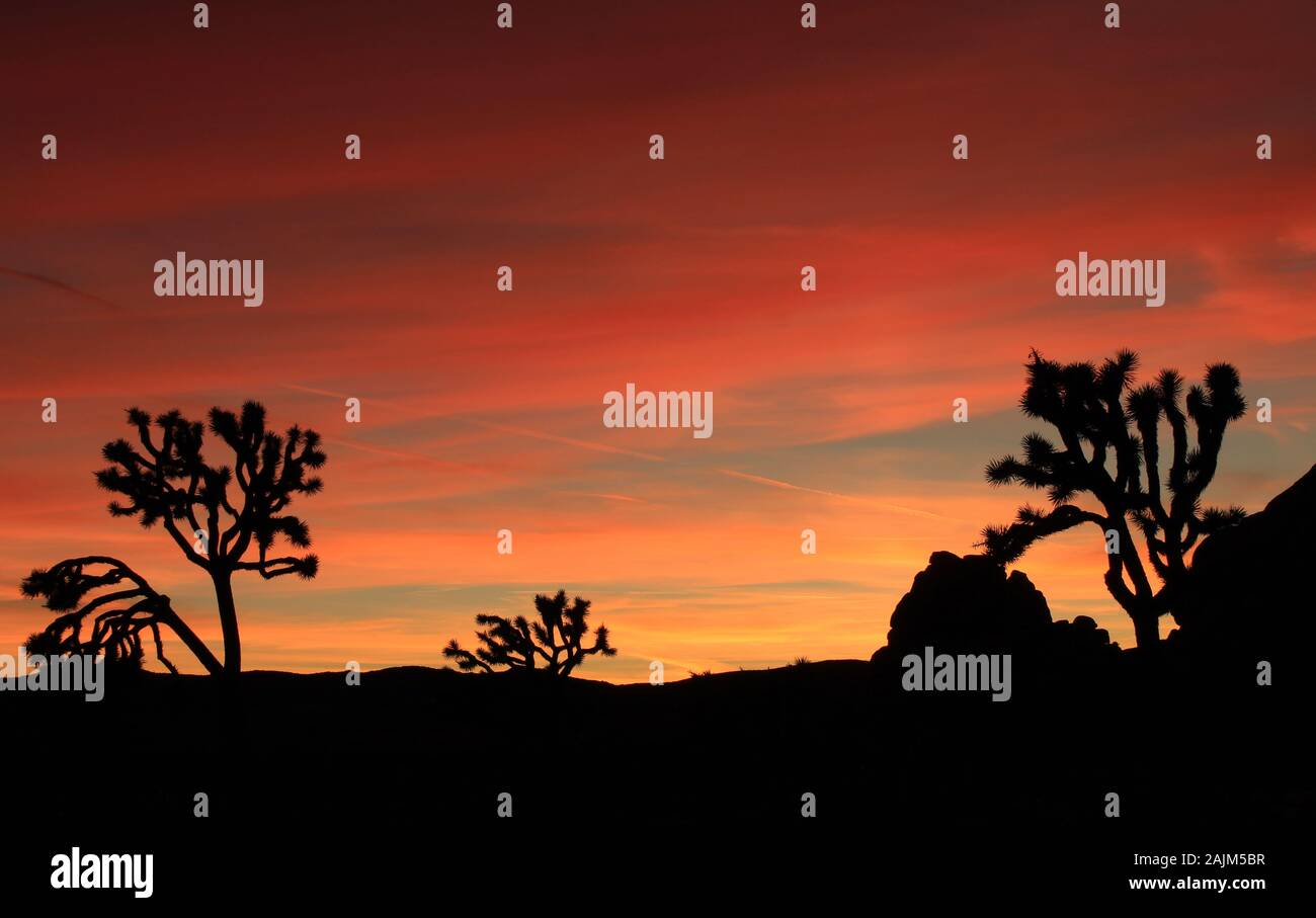 Schönen roten Sonnenuntergang, Joshua Tree National Park, Kalifornien Stockfoto